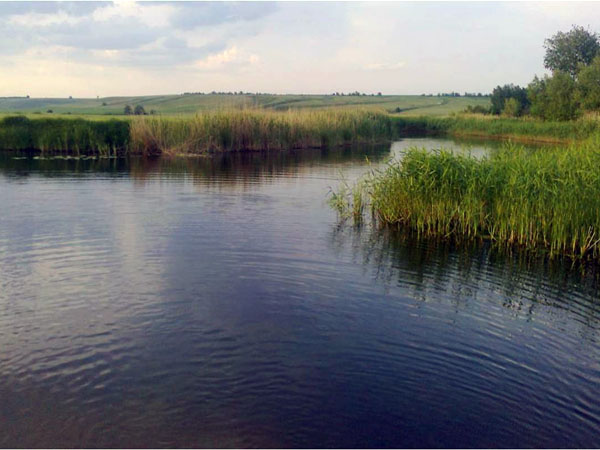 река Токай в Аннинском районе