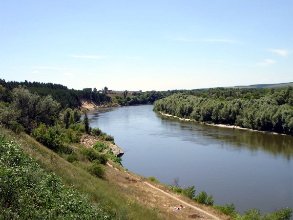 река Дон в районе г. Павловск