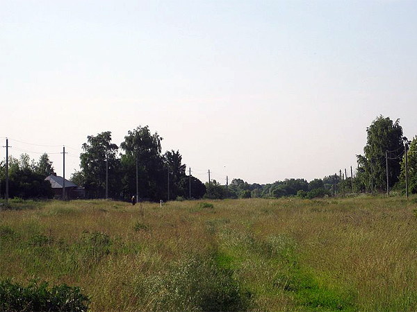 Село Старая Тойда Аннинского района