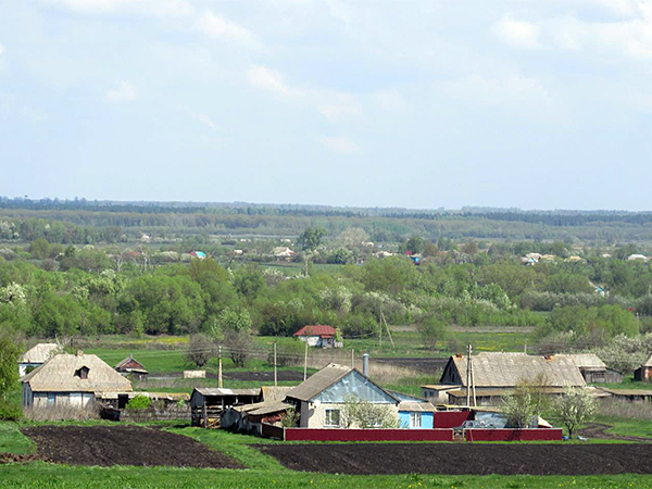 Село Борщево Панинского района